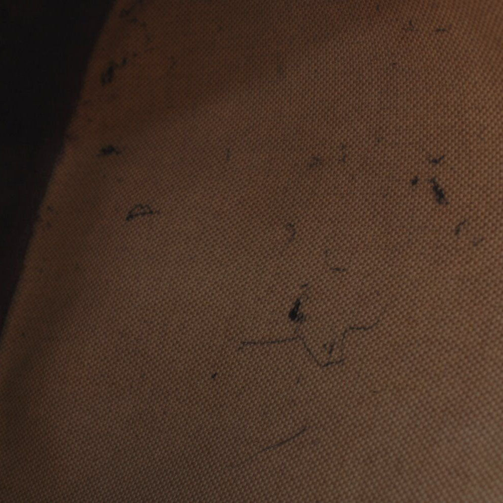 Preorder HERMES Taurillon Clemence Amazone Evelyne TPM in Dark Brown