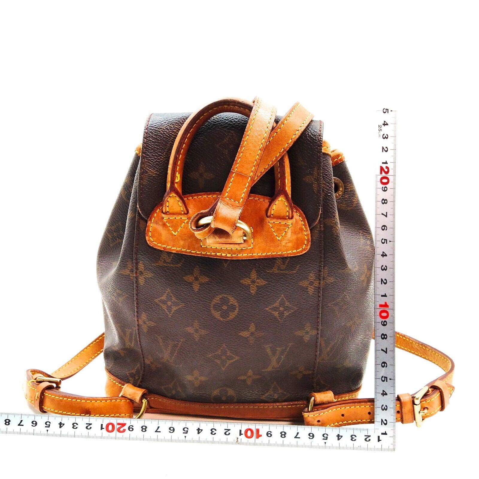 Louis Vuitton  LOUIS VUITTON Monogram Mini Montsouris Backpack