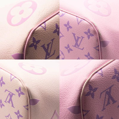 Louis Vuitton Monogram Giant Spring In The City Neverfull MM Sunrise Pastel