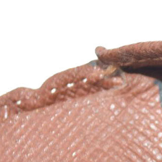 $675  Louis Vuitton Monogram Porte Monnaie Billets Viennois Bifold Wallet TH0041