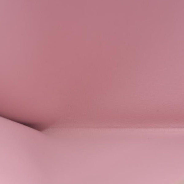 AUCTION $2350 Louis Vuitton  Monogram Valentine Dog Pochette Felicie Card holder insert