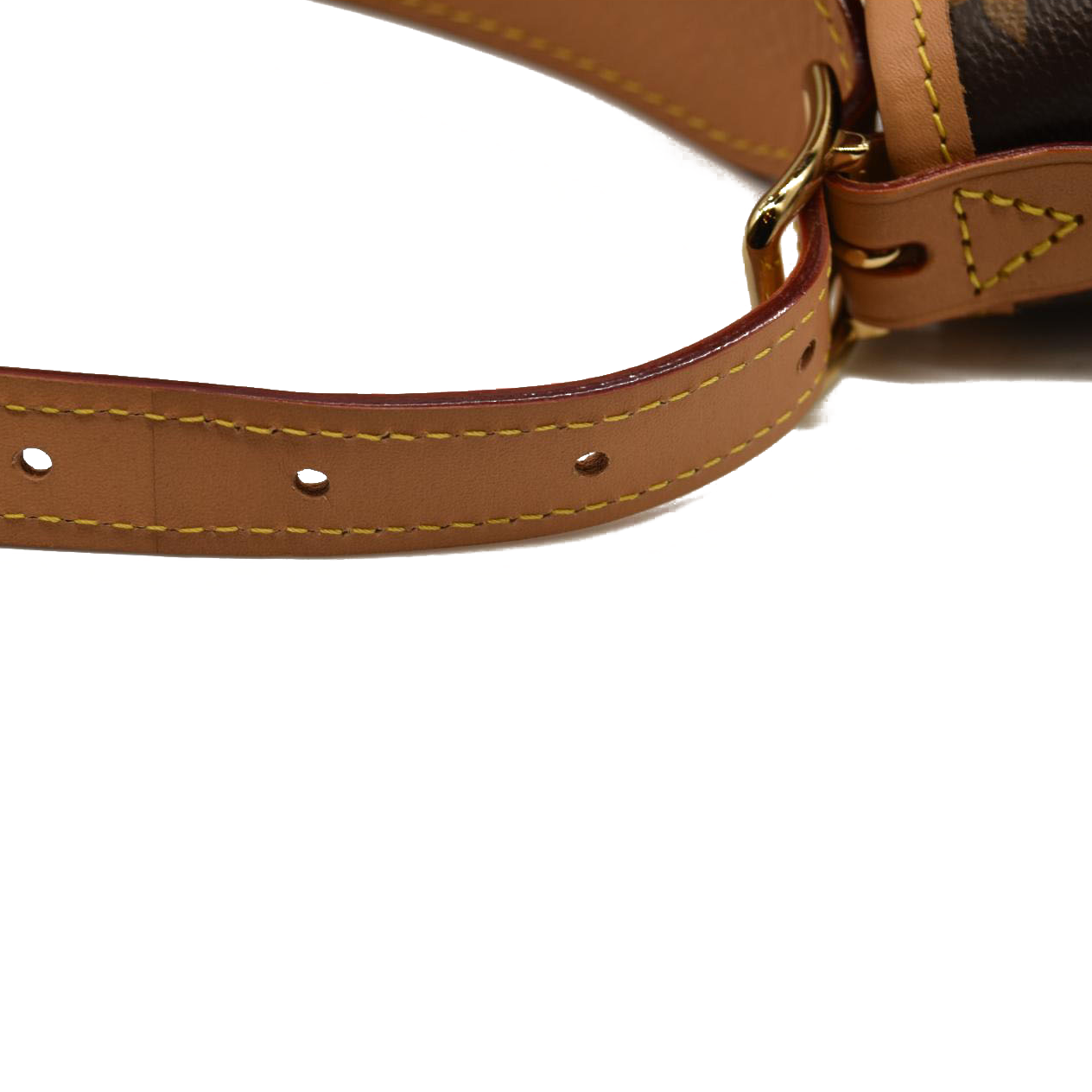 LOUIS VUITTON  Monogram CarryAll MM No pouch