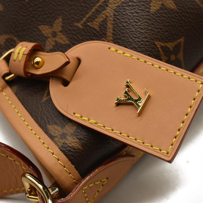 LOUIS VUITTON  Monogram CarryAll MM No pouch