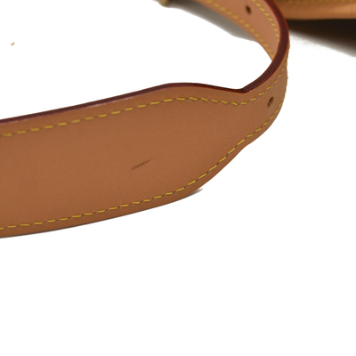 LOUIS VUITTON  Monogram CarryAll MM No pouch