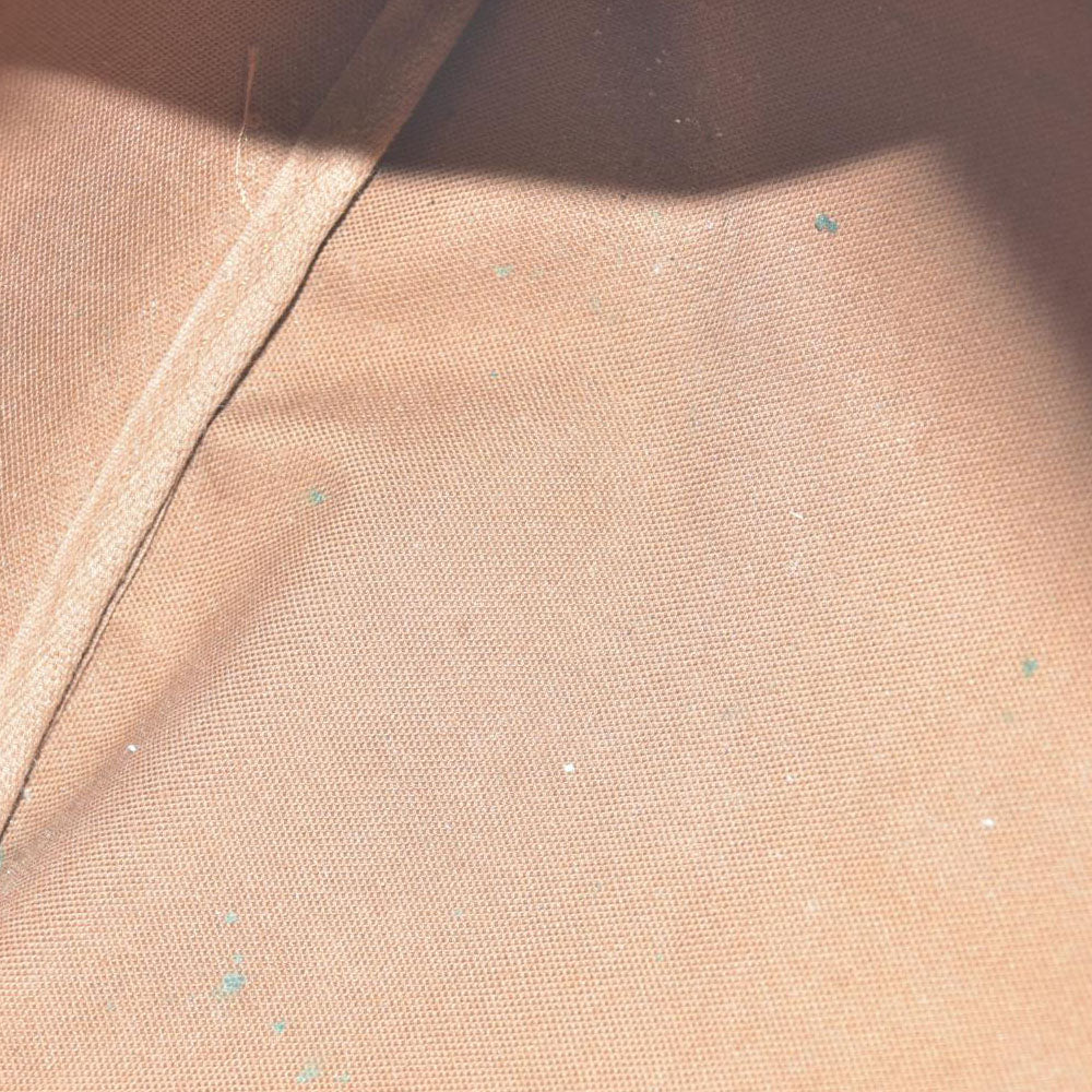 Louis Vuitton  Monogram Speedy 30 AUCTION $1550