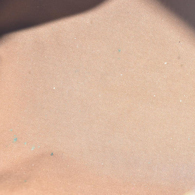 Louis Vuitton  Monogram Speedy 30 AUCTION $1550