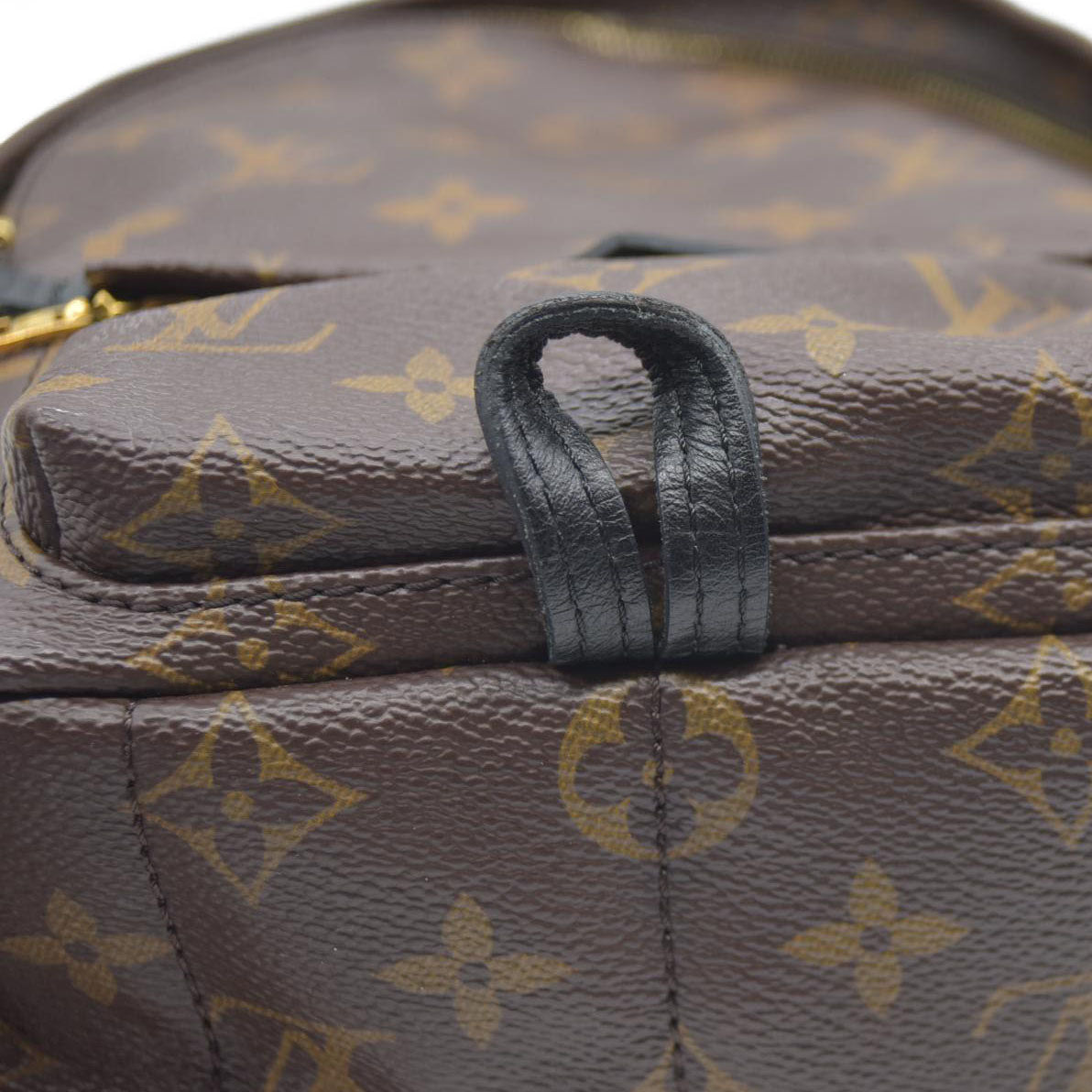 Louis Vuitton  Monogram Palm Springs Backpack Mini