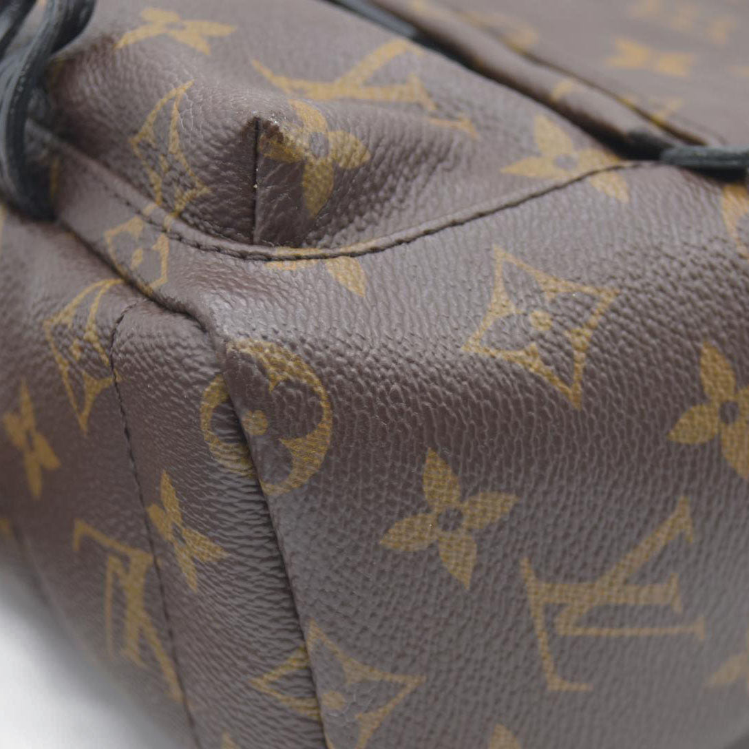 Louis Vuitton  Monogram Palm Springs Backpack Mini