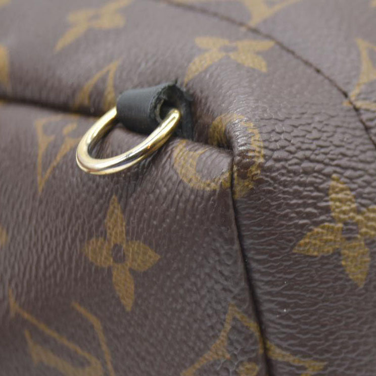Louis Vuitton  Monogram Palm Springs Backpack Mini