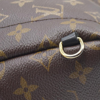 Louis Vuitton  Monogram Palm Springs Backpack Mini