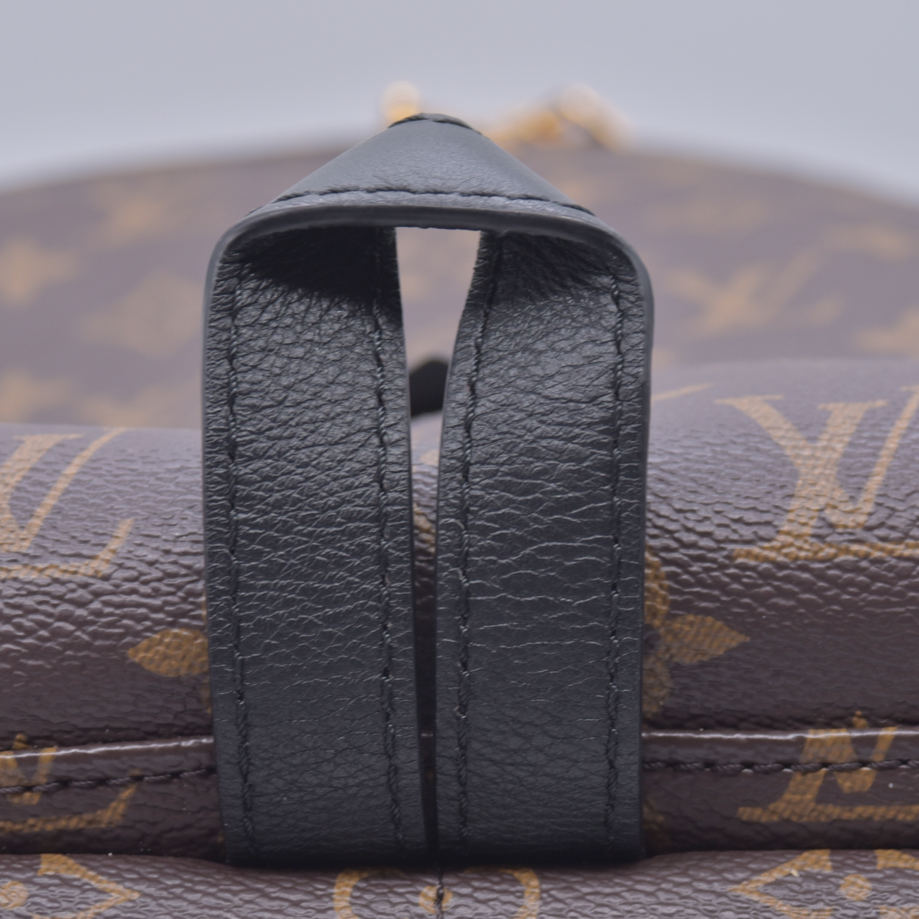 $2980 RFID Louis Vuitton Palm Springs MM Backpack