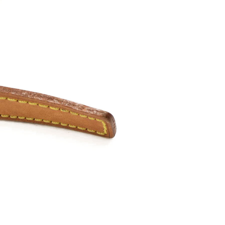 LOUIS VUITTON Trotteur Monogram Shoulder Bag  AR0047