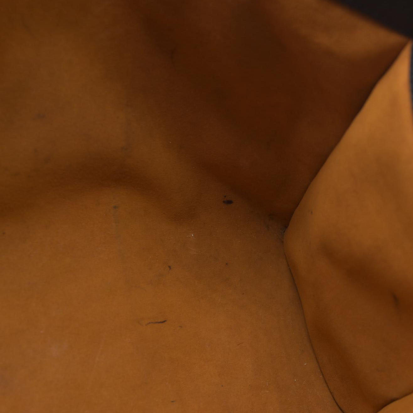 Louis Vuitton Monogram Giant OnTheGo MM