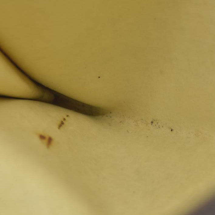 Louis Vuitton Monogram Petit Bucket Pouch