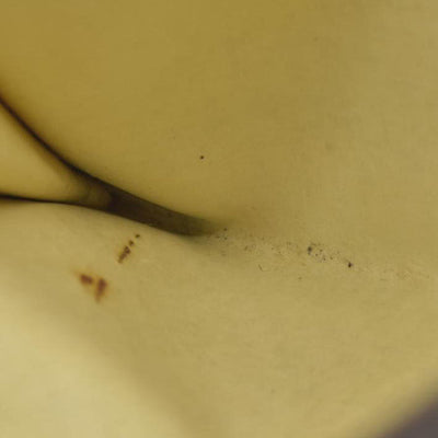 Louis Vuitton Monogram Petit Bucket Pouch