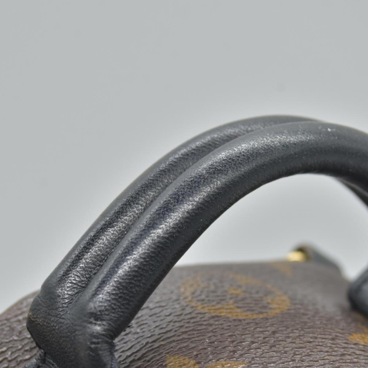 $2690 Louis Vuitton Monogram Palm Springs Backpack Mini