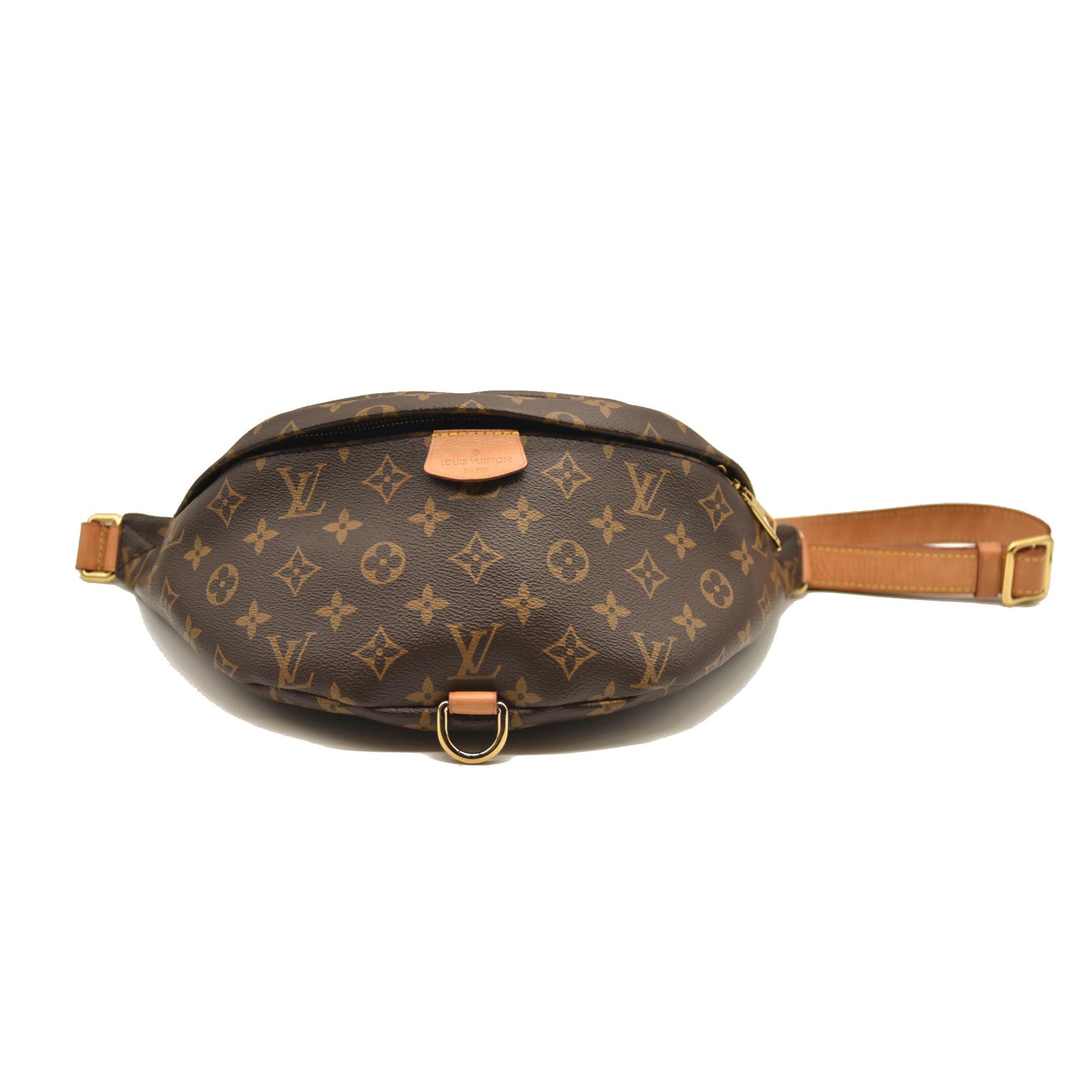LOUIS VUITTON Monogram Bumbag SA0139