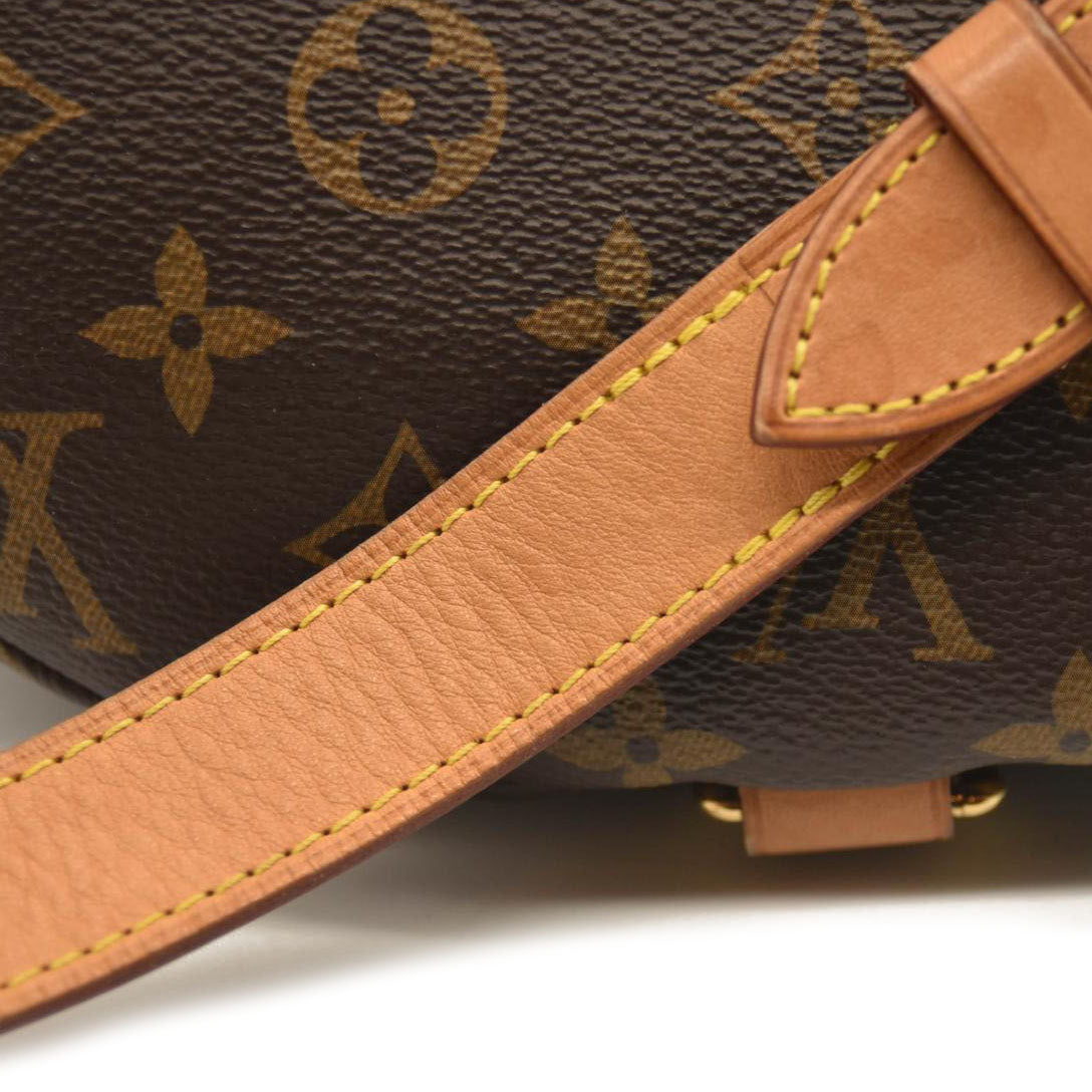 LOUIS VUITTON Monogram Bumbag SA0139