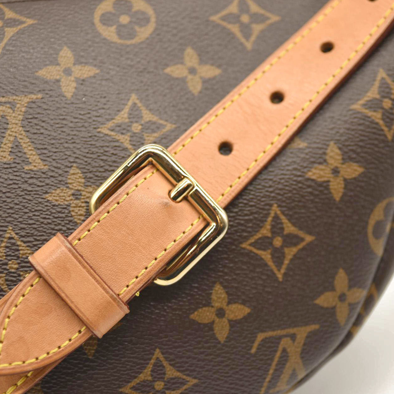 LOUIS VUITTON Monogram Bumbag SA0139