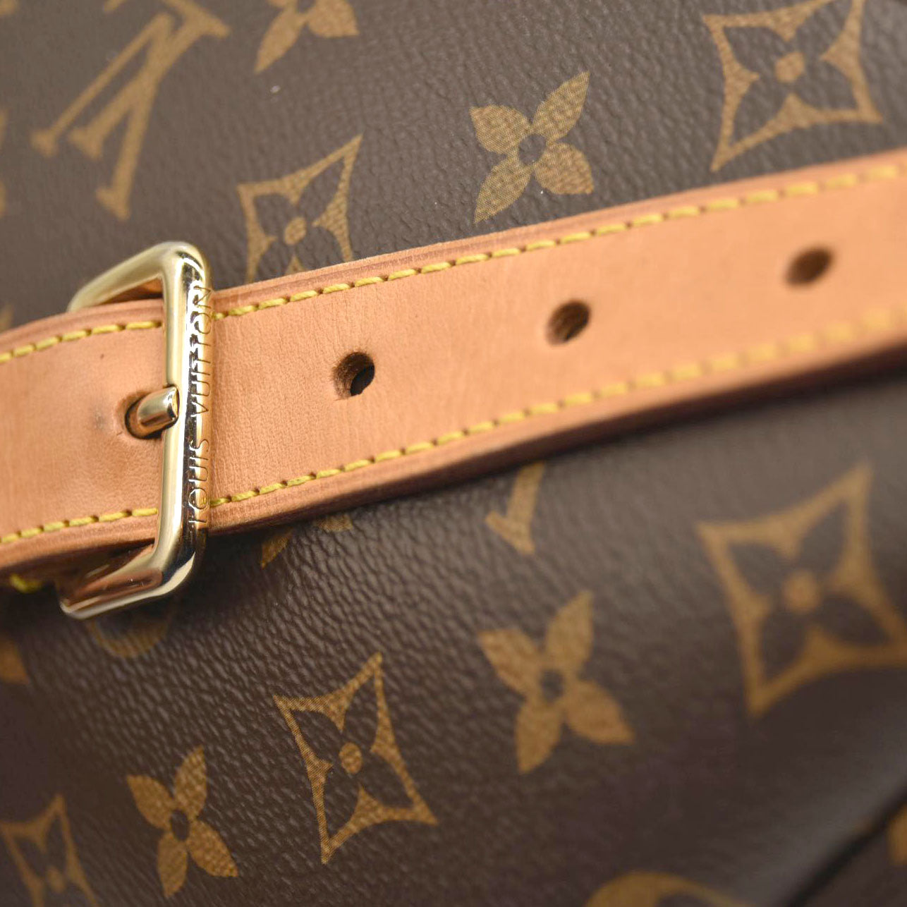 LOUIS VUITTON Monogram Bumbag SA0139