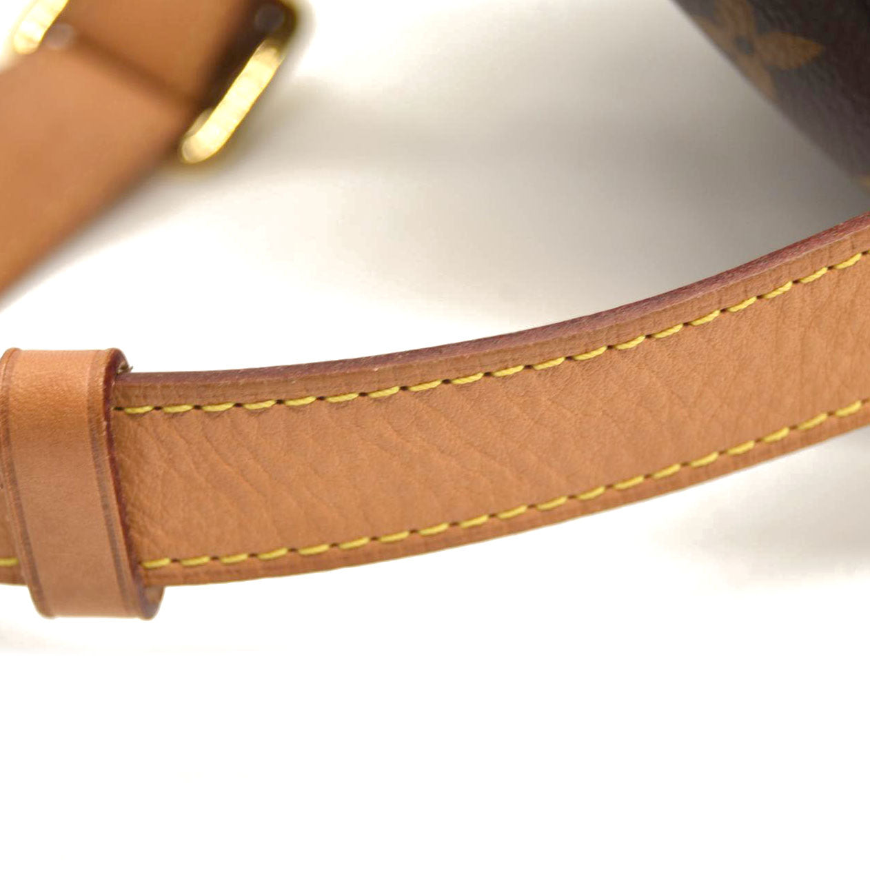 LOUIS VUITTON Monogram Bumbag SA0139