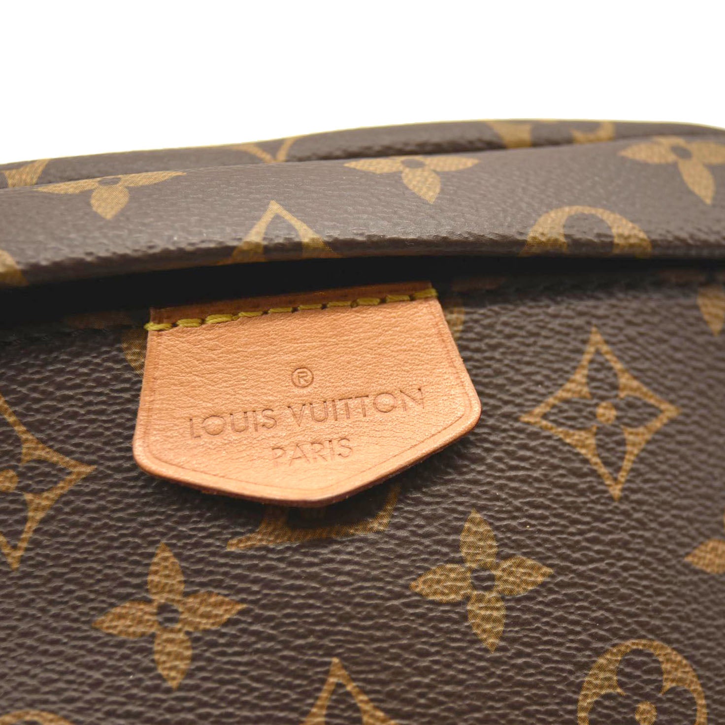 LOUIS VUITTON Monogram Bumbag SA0139