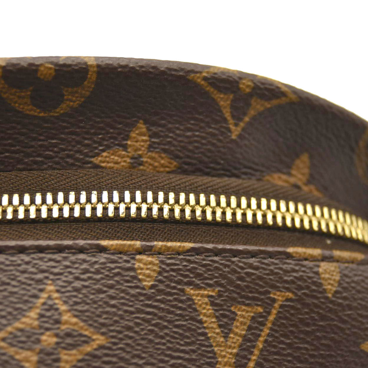 LOUIS VUITTON Monogram Bumbag SA0139