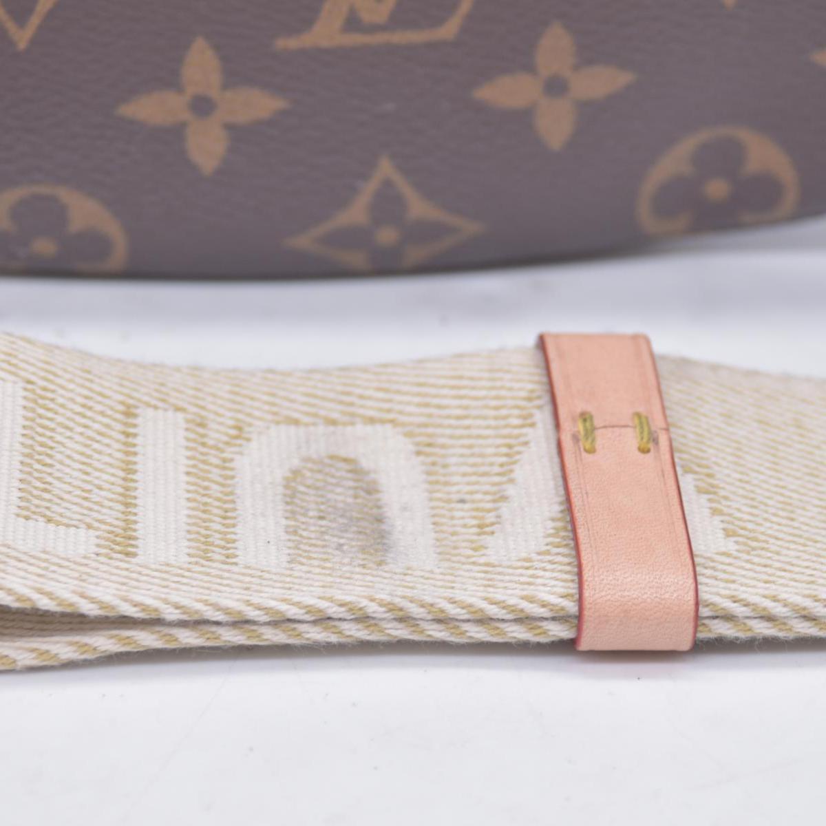 $2020 Louis Vuitton Monogram High Rise Bumbag