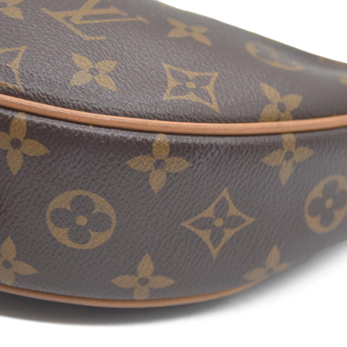 Louis Vuitton  Monogram Loop