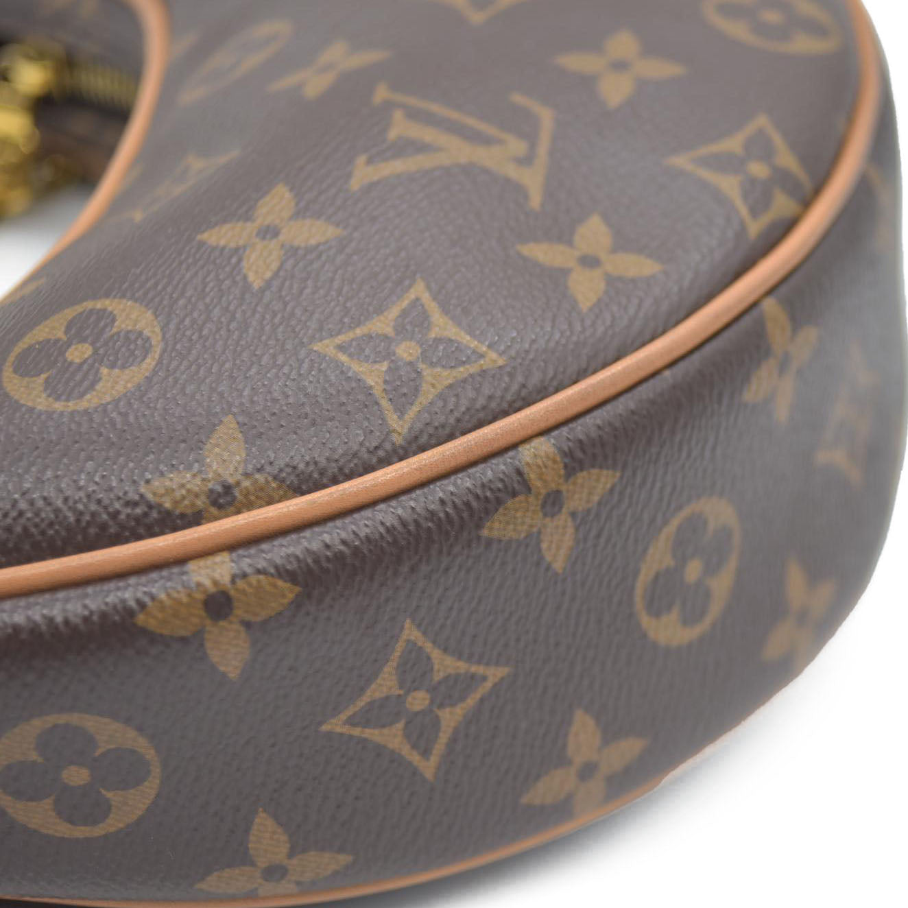 Louis Vuitton  Monogram Loop
