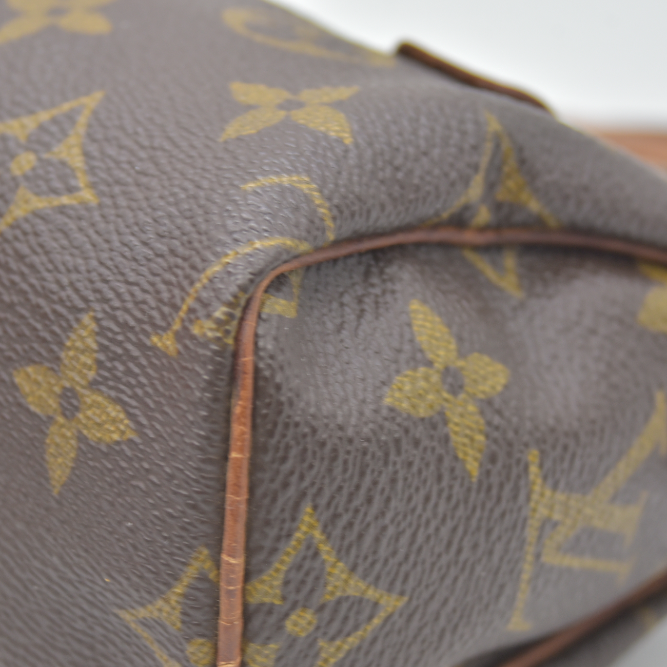 Louis Vuitton Monogram Mini Sac HL Speedy
