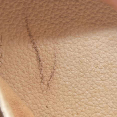 Louis Vuitton Monogram Trousse Blush PM Cosmetic Pouch VI0042