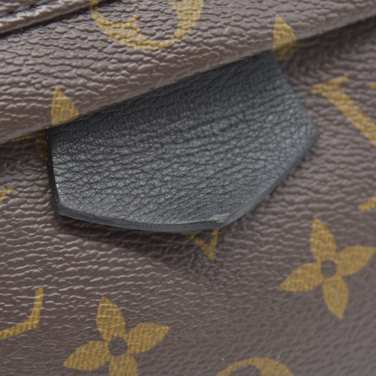 $2980 Louis Vuitton  LV Monogram Palm Springs MM RFID