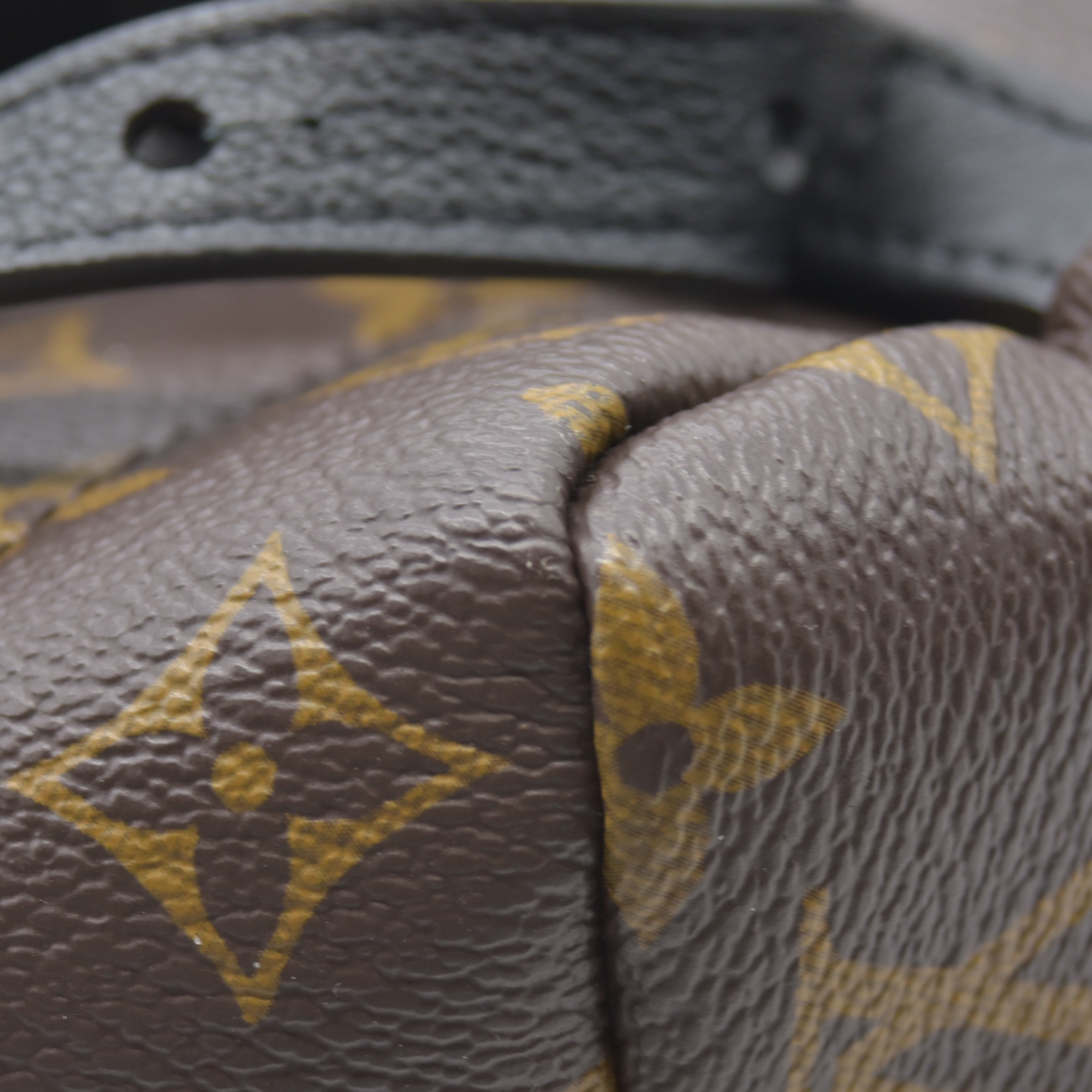 $2980 Louis Vuitton  LV Monogram Palm Springs MM RFID