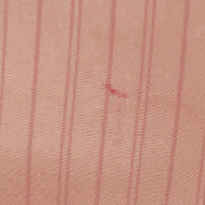 $2200 Louis Vuttion Damier Azur Neverfull MM Rose Ballerine