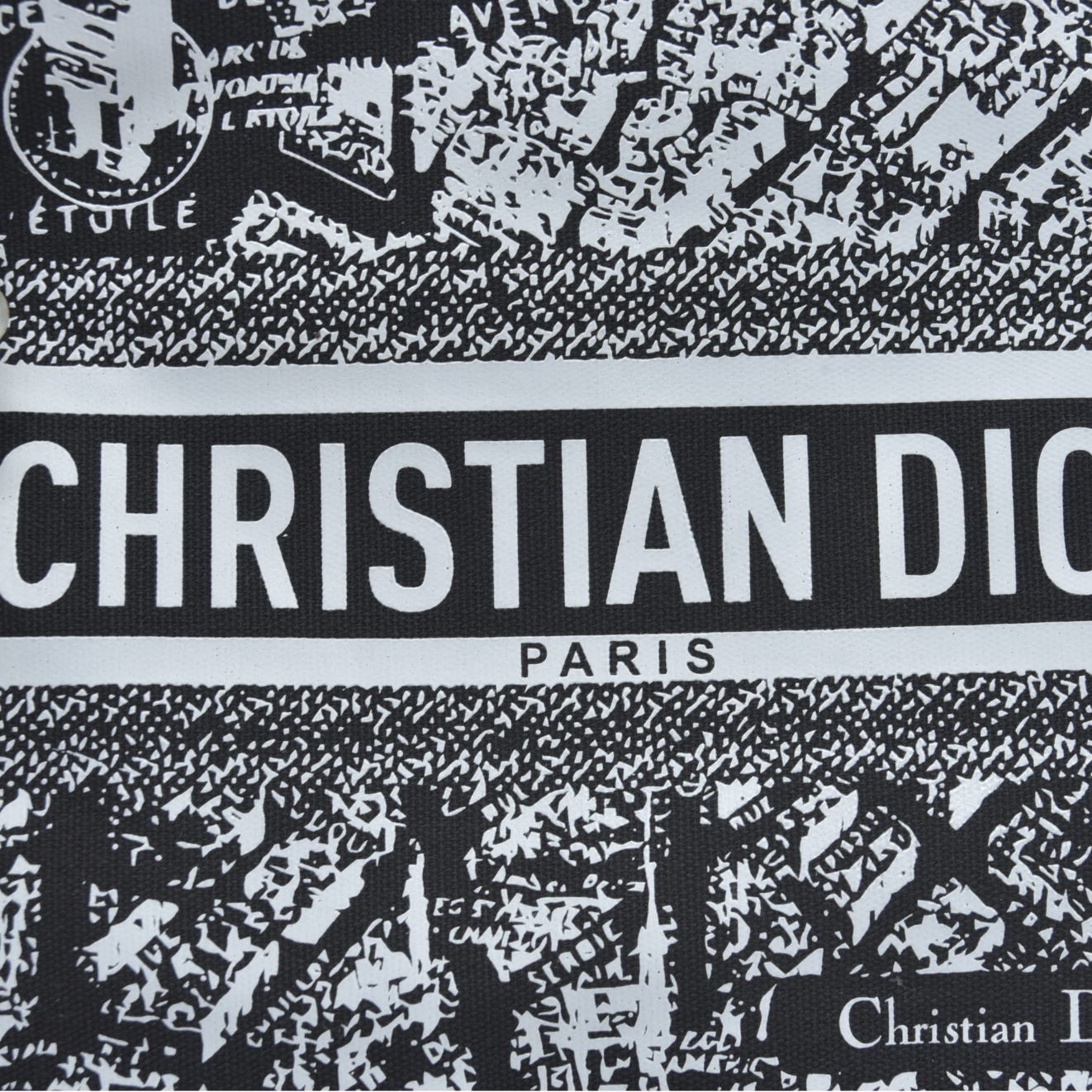 NEW CHRISTIAN DIOR Plan De Paris Map Makeup Bag Novelty GWP Pouch Clutch