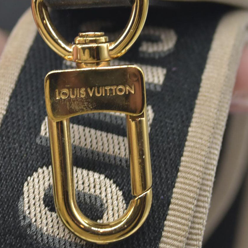 Louis Vuitton Monogram Diane
