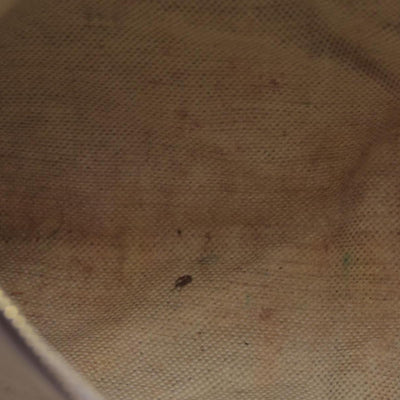 Gucci Double G Ophidia Medium