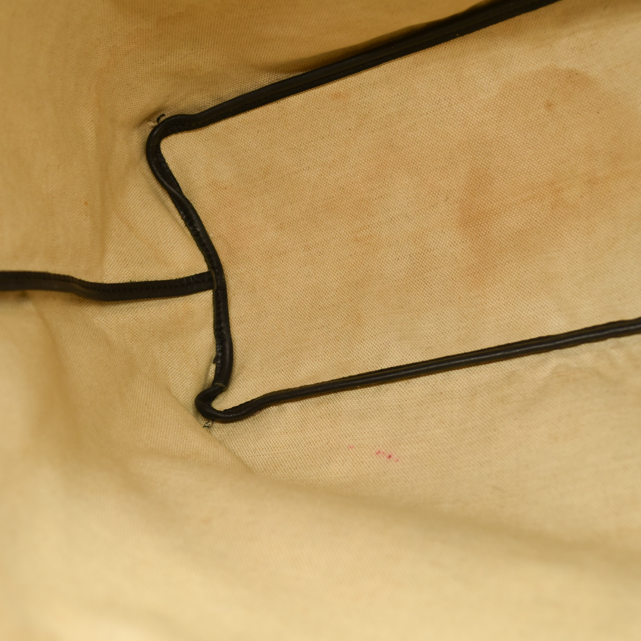 Goyard  Goyardine Saint Louis PM Black