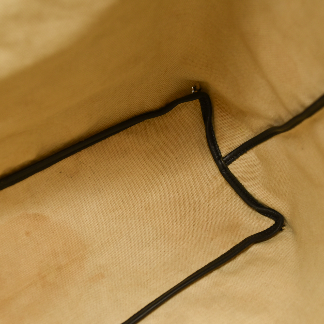 Goyard  Goyardine Saint Louis PM Black