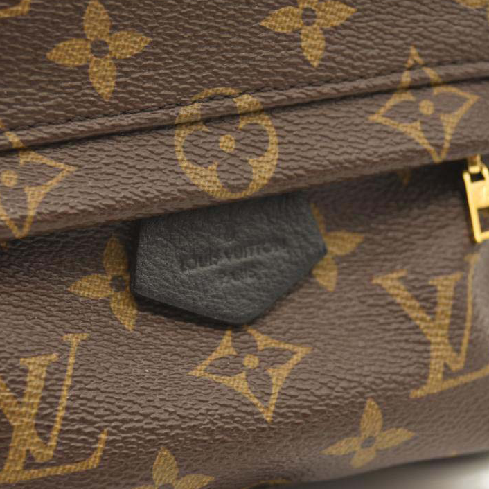 $2440 LOUIS VUITTON Monogram Palm Springs Backpack Mini CA2137