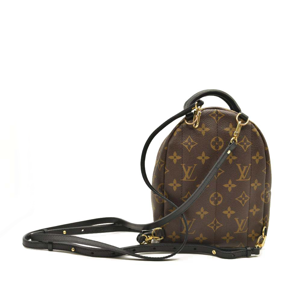 $2440 LOUIS VUITTON Monogram Palm Springs Backpack Mini CA2137