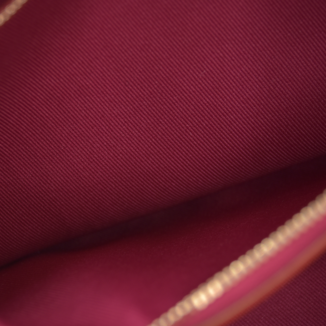 Louis Vuitton  Monogram Diane Fuchsia RFID