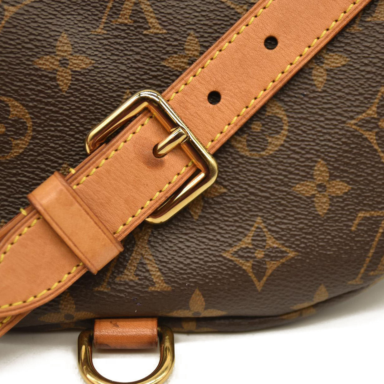 Louis Vuitton  Monogram Bumbag MI2169