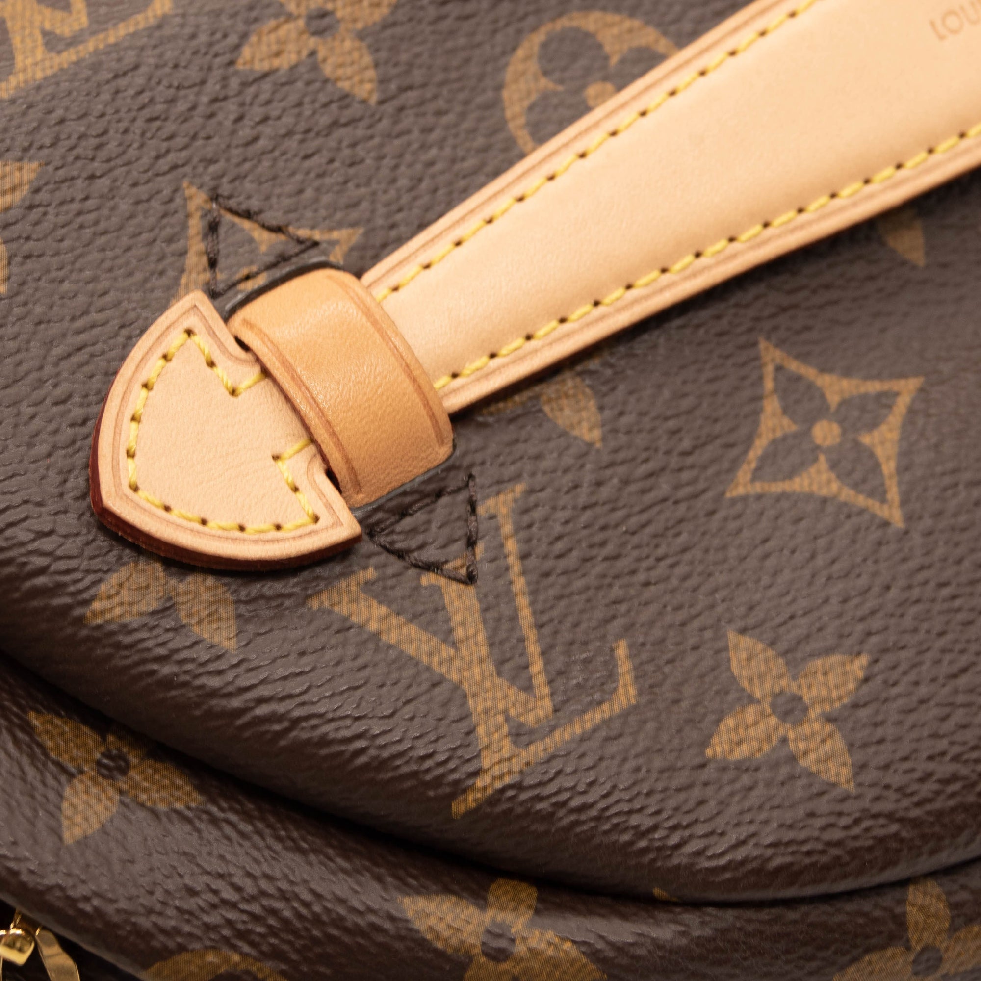 Louis Vuitton Bumbag Brown Monogram Canvas Messenger Bag Fanny Pack