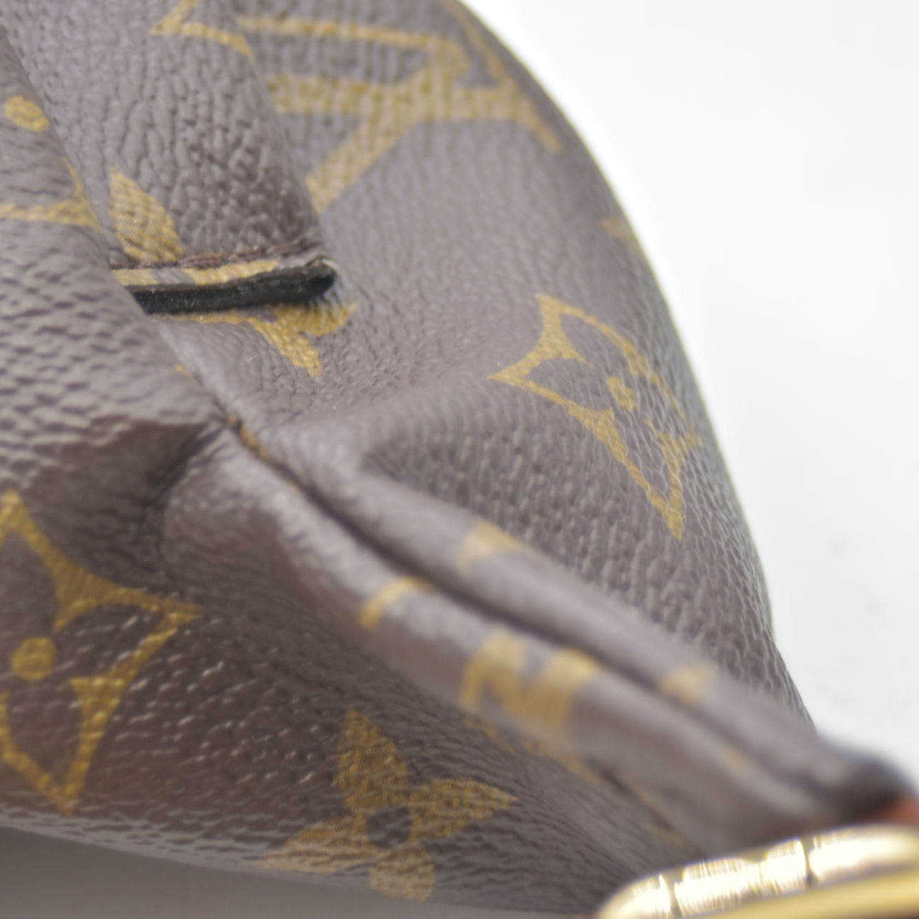 $2450 Louis Vuitton Monogram Bumbag RFID