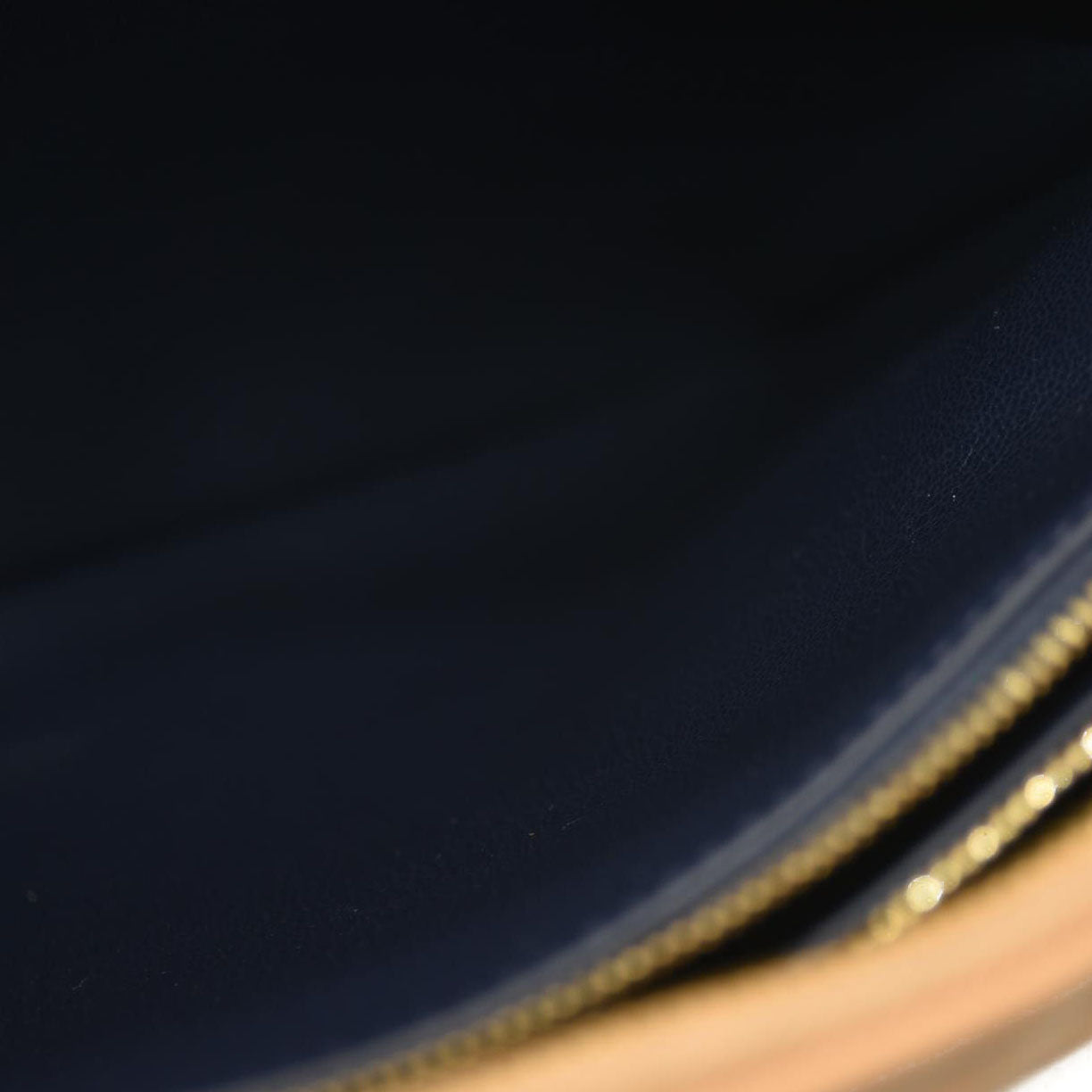 Louis Vuitton  Lambskin Embossed Monogram Coussin PM Camel