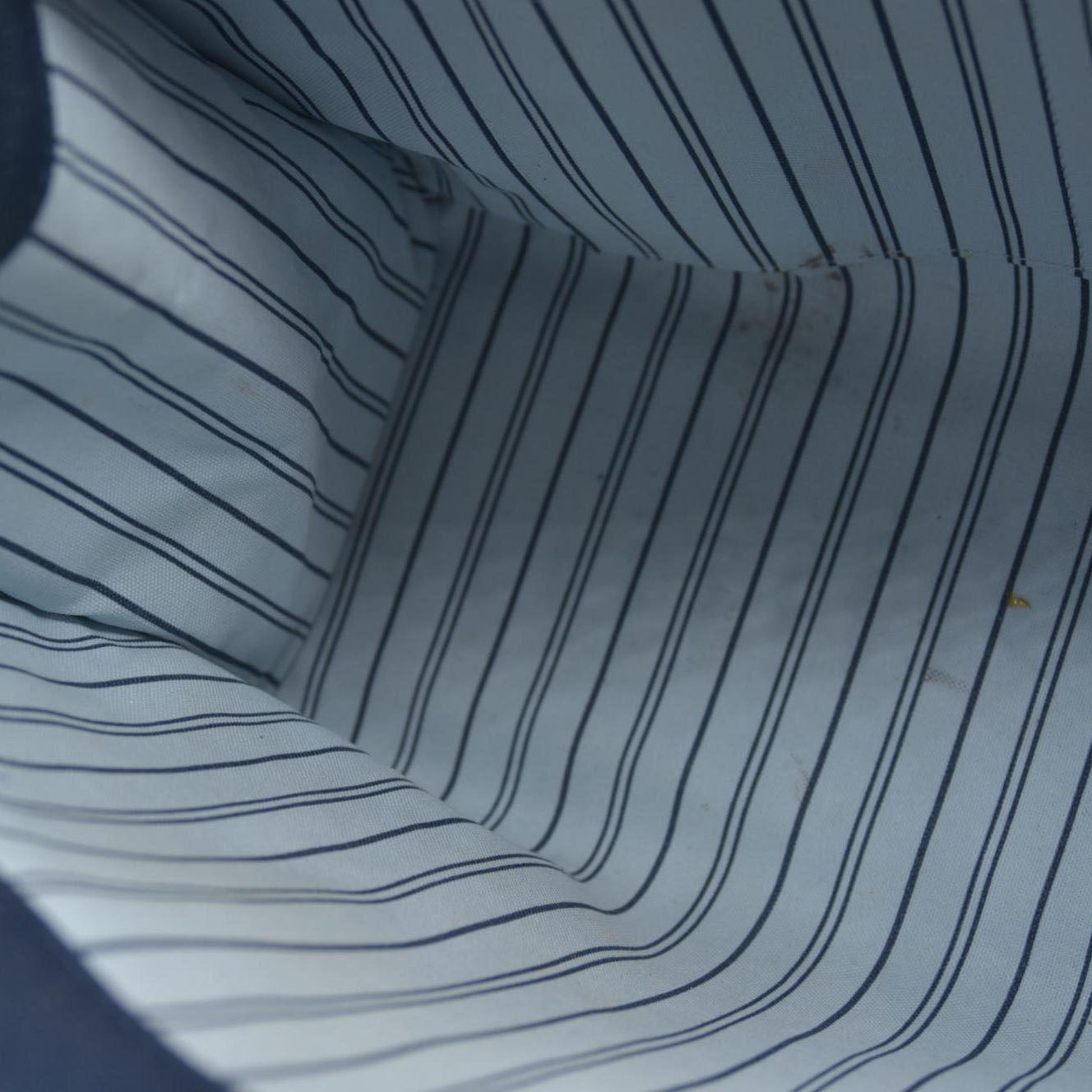 Louis Vuitton Raffia Calfskin Monogram Giant Onthego MM Blue