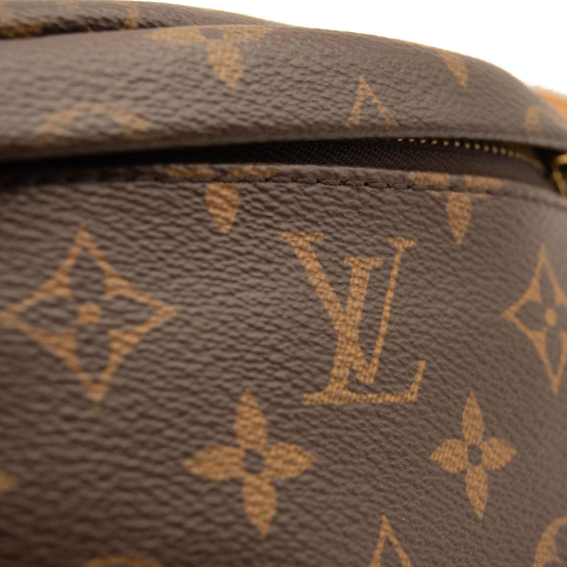 Louis Vuitton Monogram Bumbag & Charm – DAC