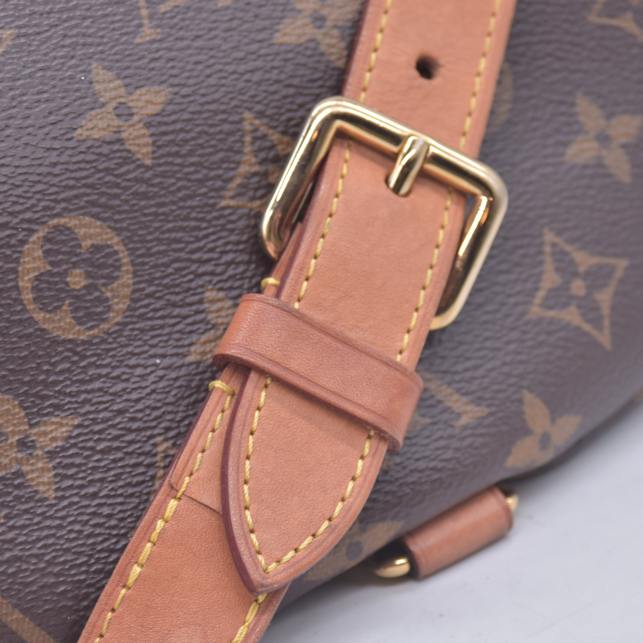 $2450 2019 Louis Vuitton Monoram Bumbag SA4189 10021078